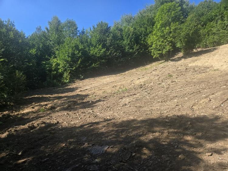 Teren de 2000 mp, în Teșila