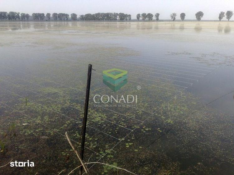 Teren de 2270000 mp, în Ciocănești