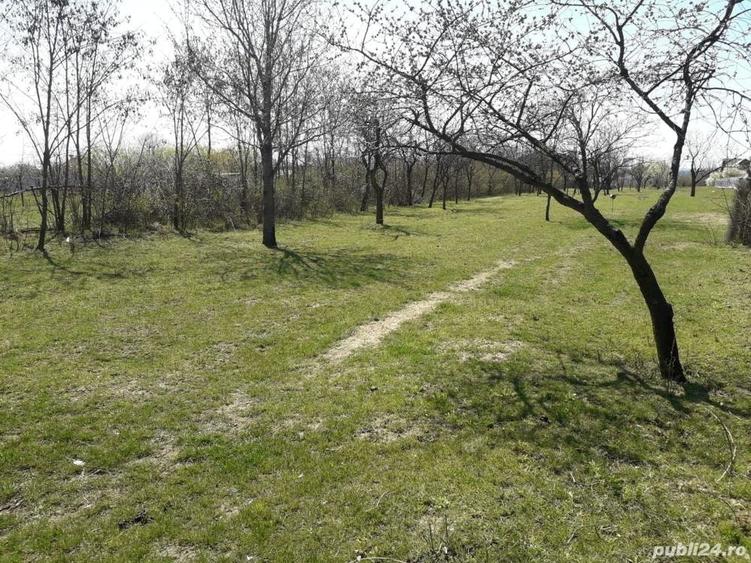 Teren de 1559 mp, în Cocoșești