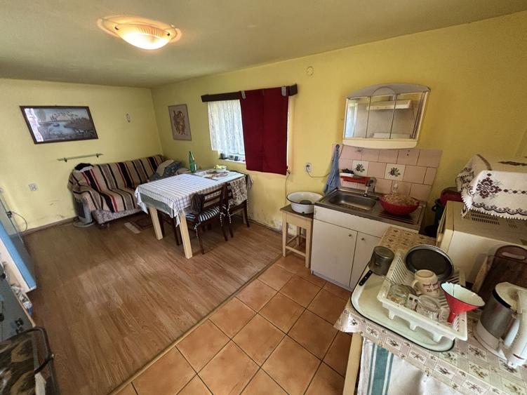 Casă individuală de vânzare în Turnișor | Curte superbă 585 mp - 34