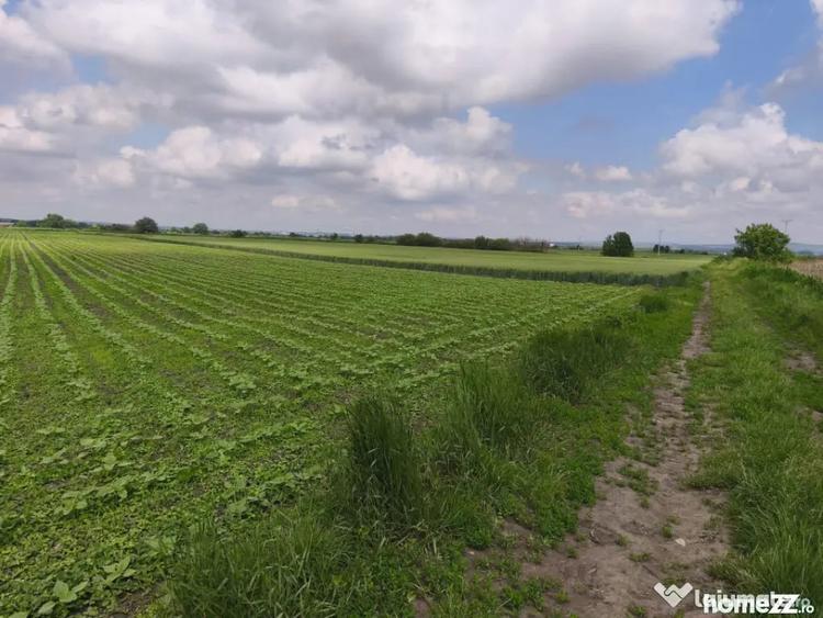 Teren de 8700 mp, în Central