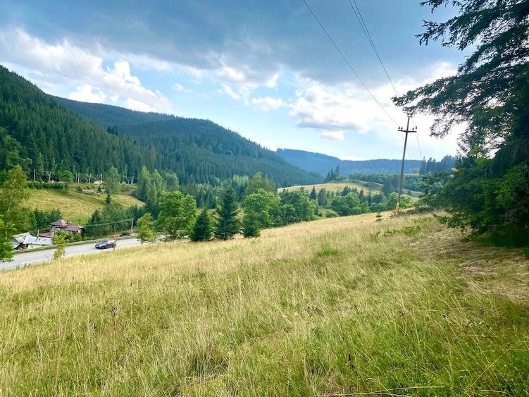 Teren de 4578 mp, în Valea Putnei