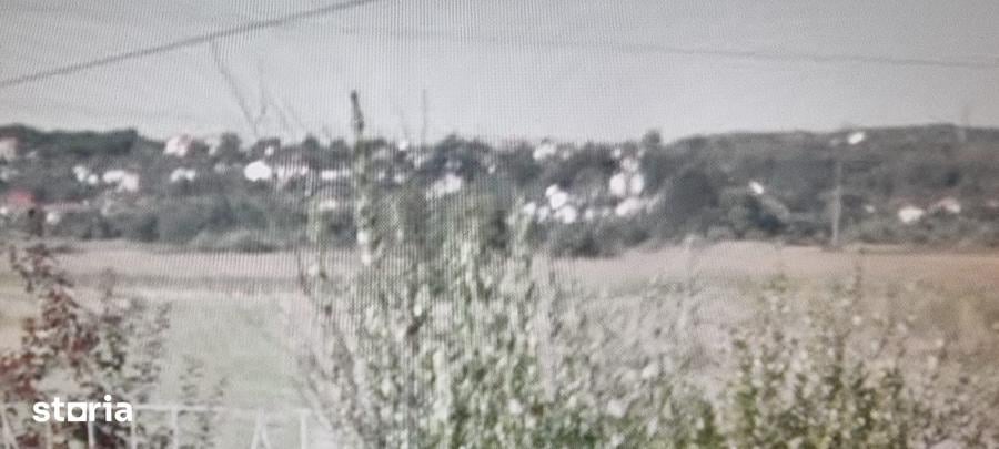 Teren de 4778 mp, în Bascov