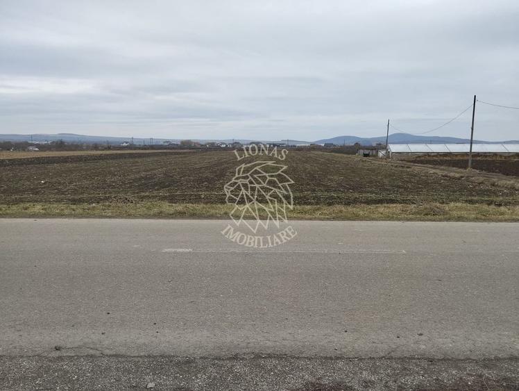 Teren Construcții intravilan de 2500 mp, în Jelna