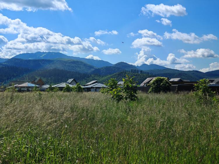 Teren Construcții intravilan de 598 mp, în Cristian