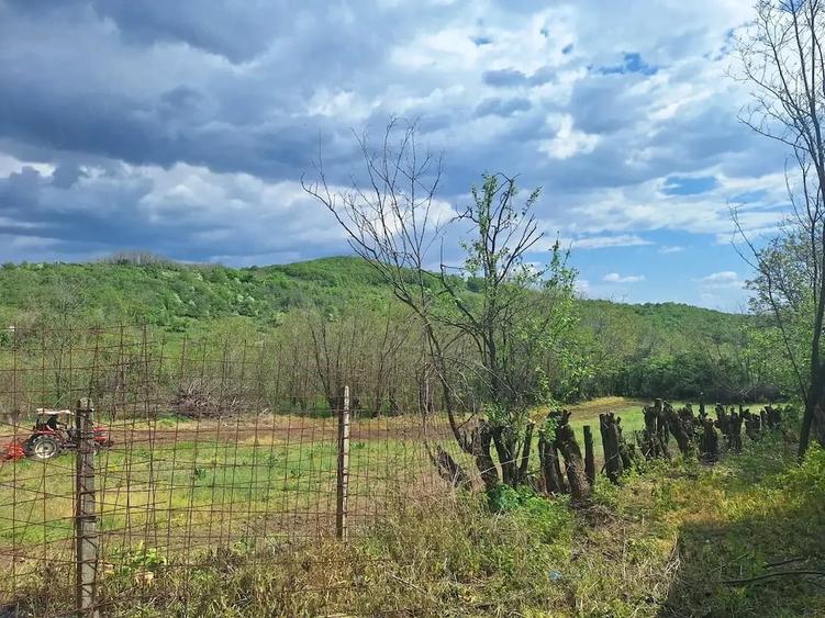 Teren de 2000 mp, în Blăjani