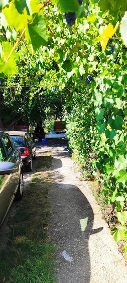Casă cu 2 camere cu Teren 830 Mp în Bulbucata
