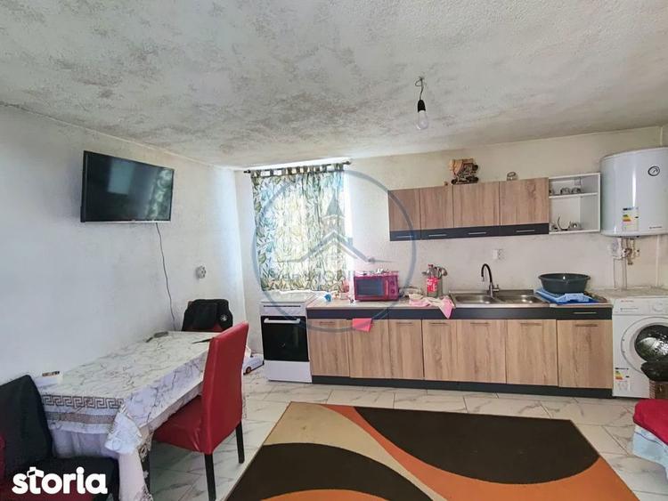 Casa cu teren 2 hectare, anexe si doua imobile Nimigea de Sus - 17