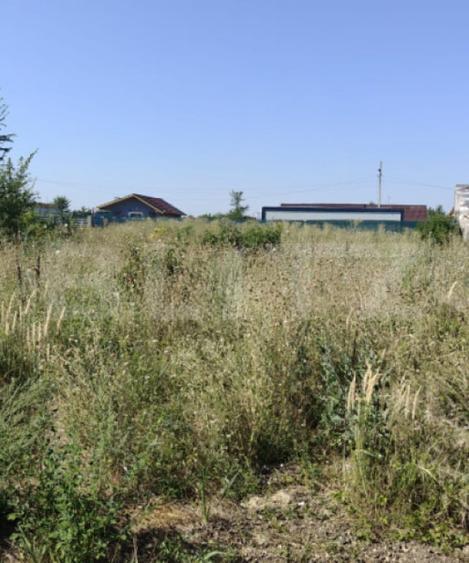 Teren de 513 mp, în Tărtășești