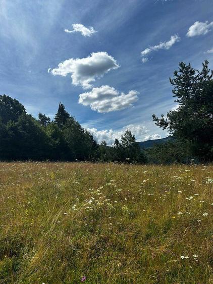 Teren de 5833 mp, în Bistra