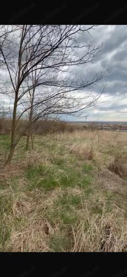 Teren de 1000 mp, în Fântânele (Hemeiuș)