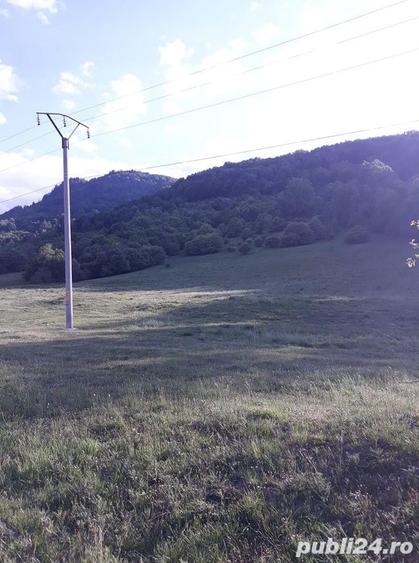Teren de 10000 mp, în Cheia