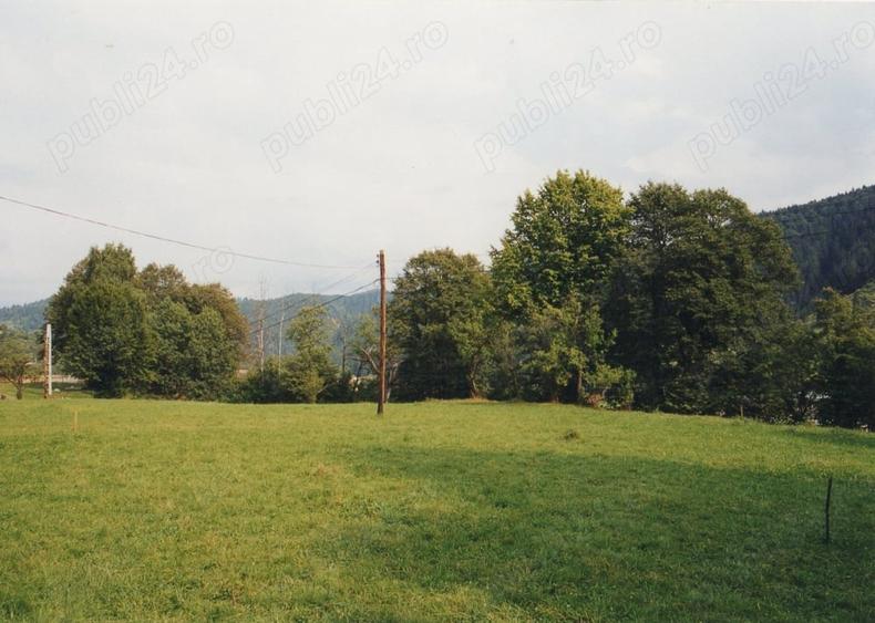 Teren de 7000 mp, în Lunca