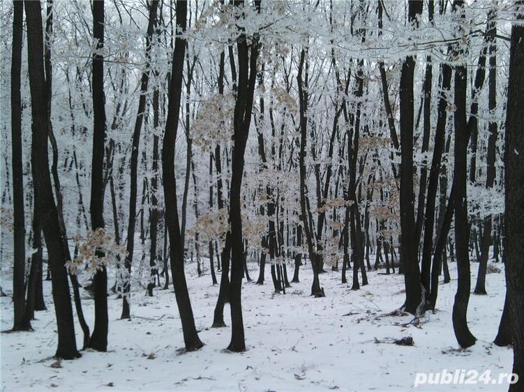 Teren de 16950 mp, în Blaj