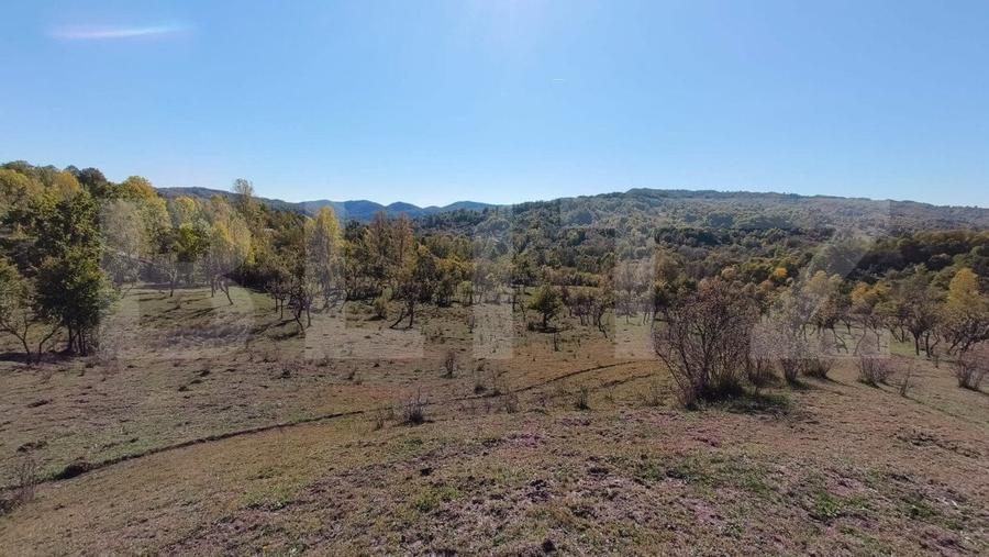 Teren agricol extravilan de 7382 mp, în Valea Lungă-Cricov