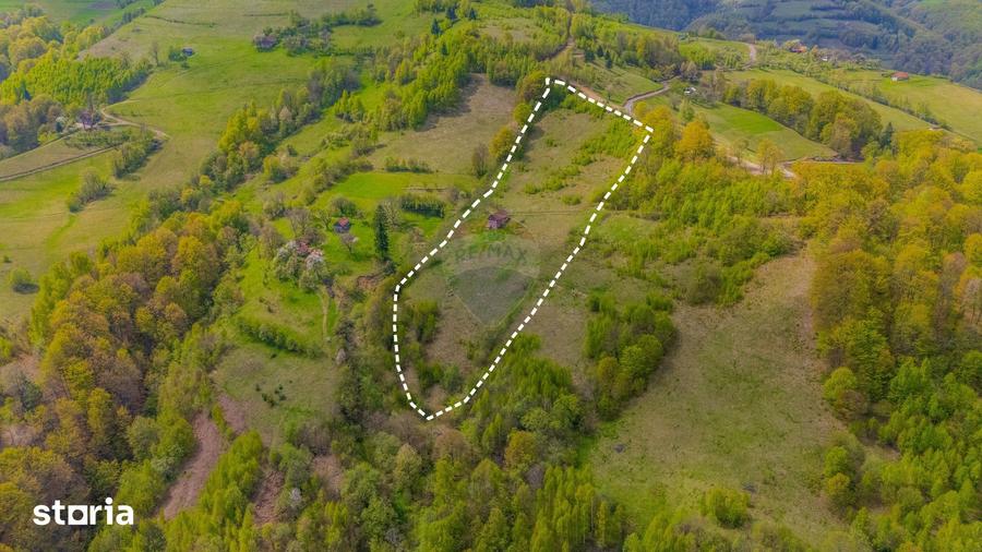 Teren de 18537 mp, în Poiana Mărului