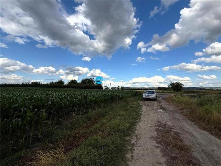 Teren agricol intravilan de 19800 mp, în Est
