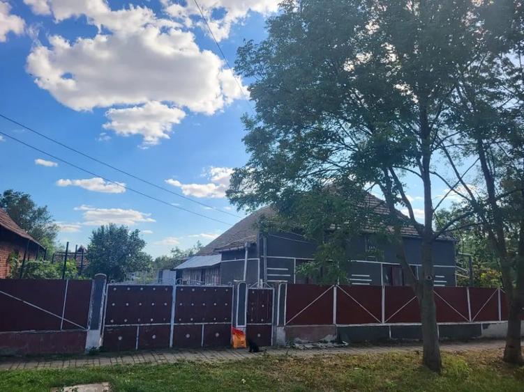 Casă cu 5 camere în Banloc