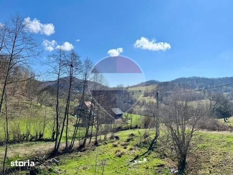 Teren de 7495 mp, în Bârsana
