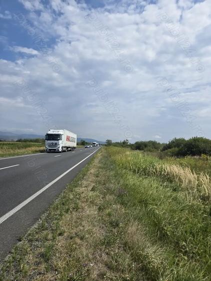 Teren de 29000 mp, în Gavojdia