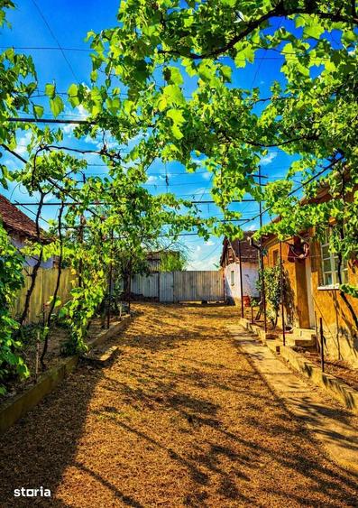 Casă cu 2 camere cu Teren 1603 Mp în Mădăras