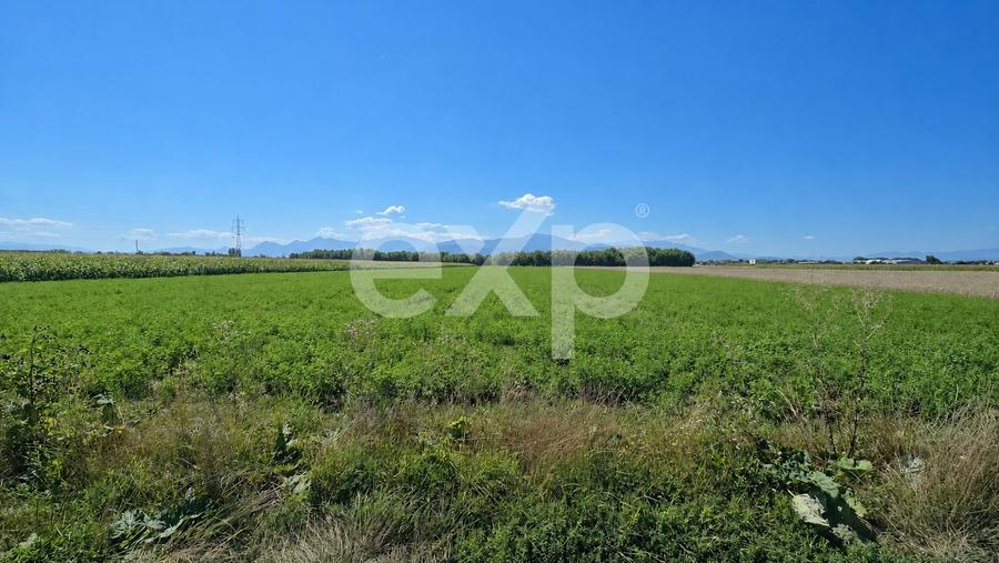 Teren agricol intravilan de 17204 mp, în Stupini