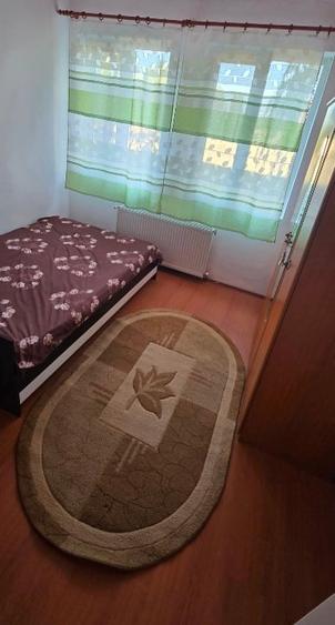 Apartament cu 2 camere nedecomandat, mobilat în Ronaț