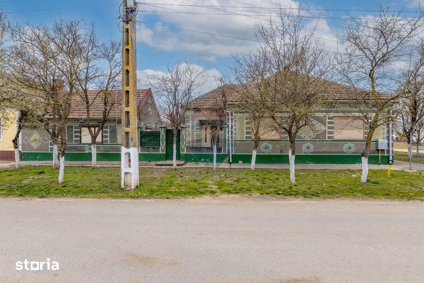 Casa 4 camere + anexe, teren 760 mp Pilu, jud. Arad - 14