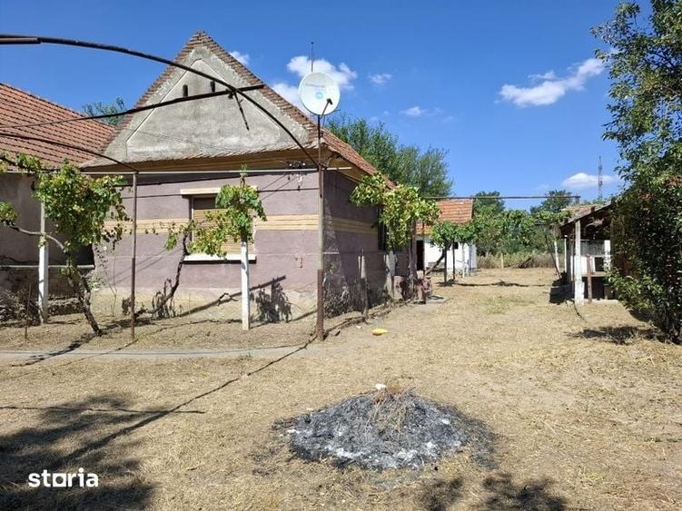 Casă cu 2 camere cu Teren 80 Mp în Tileagd