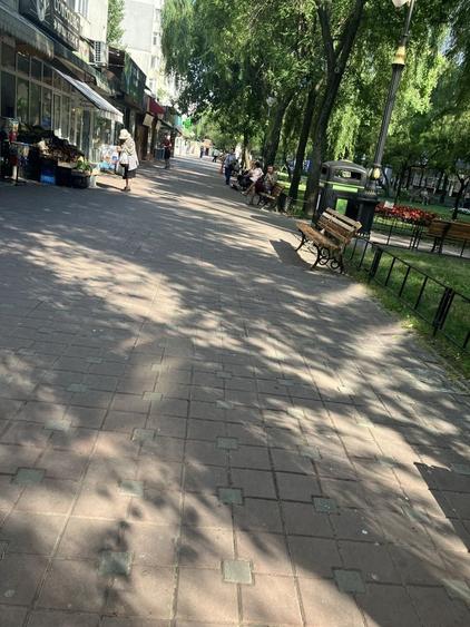 Spatiu comercial Alexandru cel Bun ,iasi - 3