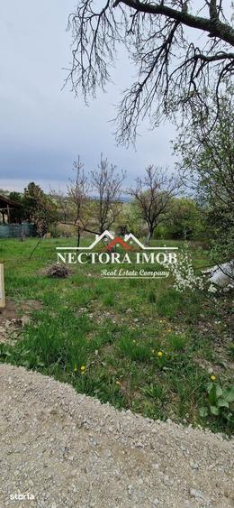 Teren de 3400 mp, în Podgoria