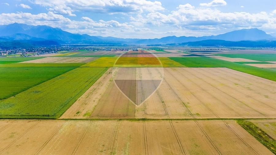 Teren agricol extravilan de 20000 mp, în Cristian