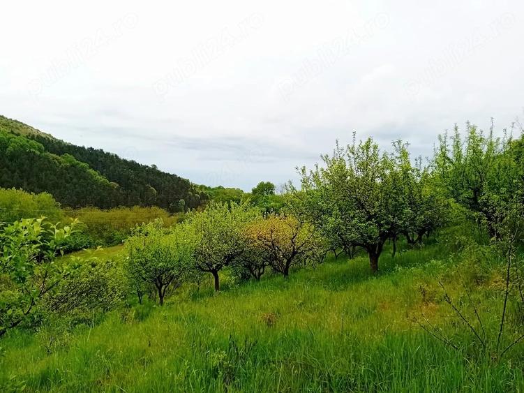 Teren de 8500 mp, în Poiana Aiudului
