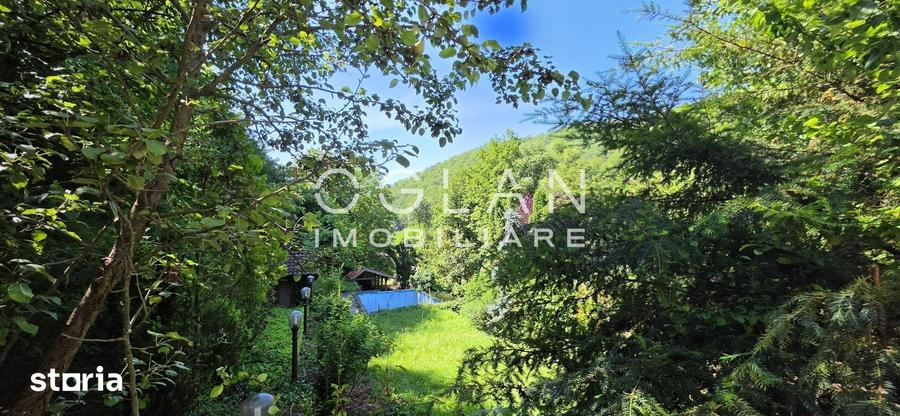 Casă cu 4 camere cu Teren 1600 Mp în Rapoltu Mare