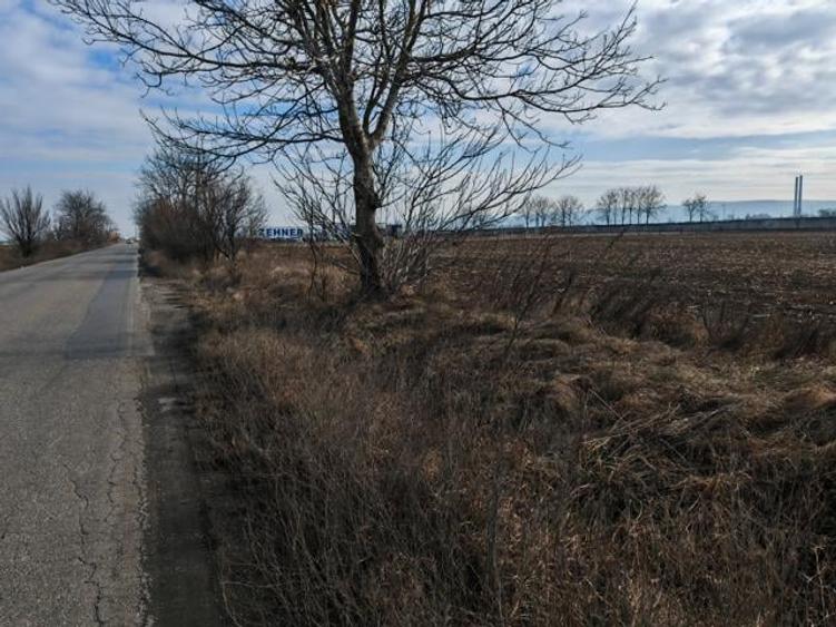 Teren Construcții intravilan de 10000 mp, în Vest