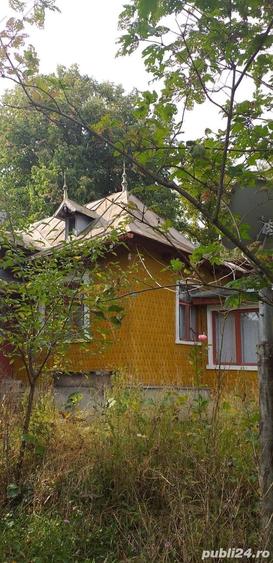 Teren de 6000 mp, în Provița de Sus