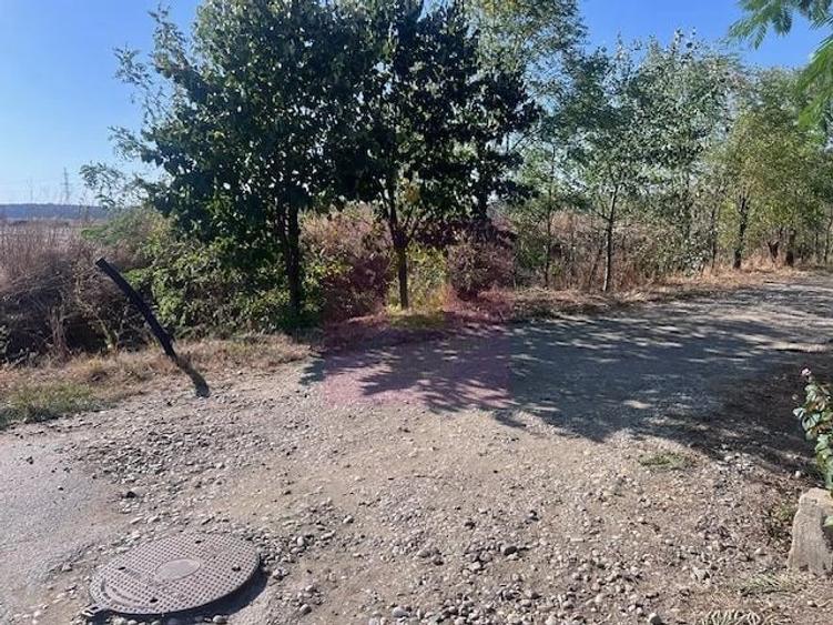 Teren de 6200 mp, în Cornetu