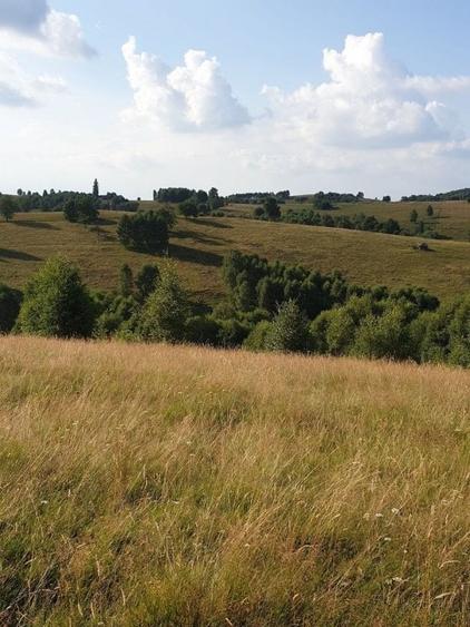Teren agricol extravilan de 36000 mp, în Tilișca