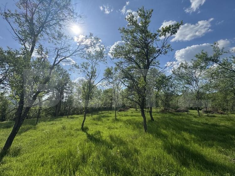 Teren Construcții intravilan de 15080 mp, în Periferie