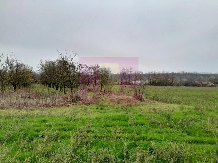 Casă cu 3 camere cu Teren 15000 Mp în Bărcănești