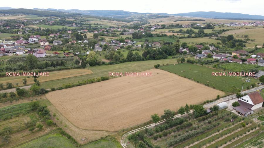 TEREN INTRAVILAN DE VÂNZARE – ȘOMCUTA MARE, MARAMUREȘ - 3
