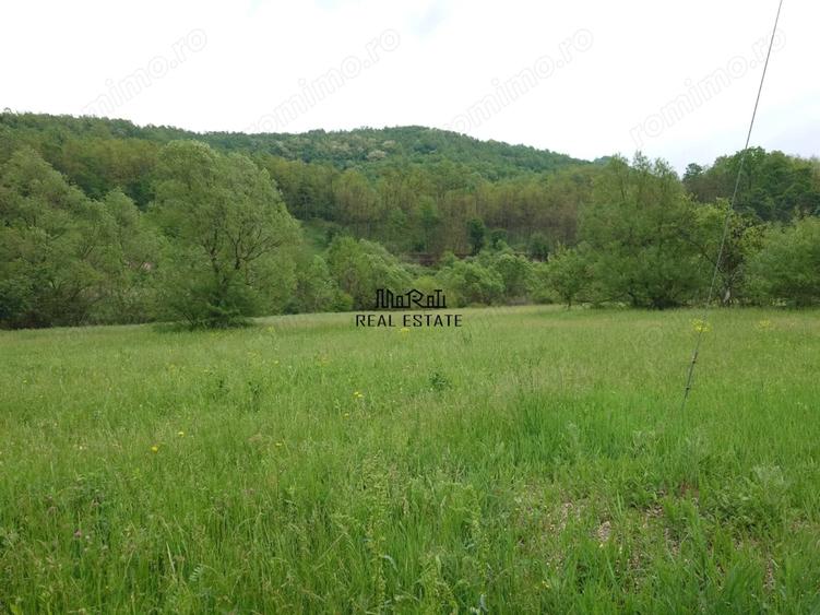 Casă cu 3 camere cu Teren 12861 Mp în Luncoiu de Jos