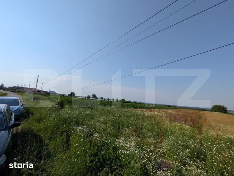 Teren de 3000 mp, în Comișani