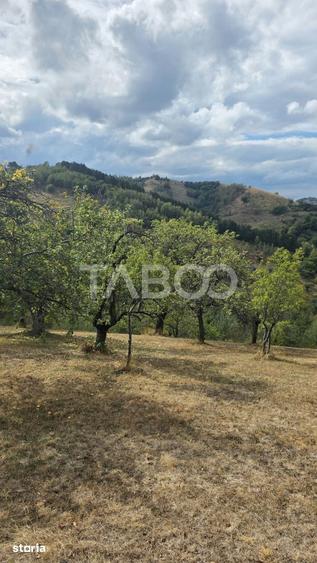Teren de 8300 mp, în Săsciori