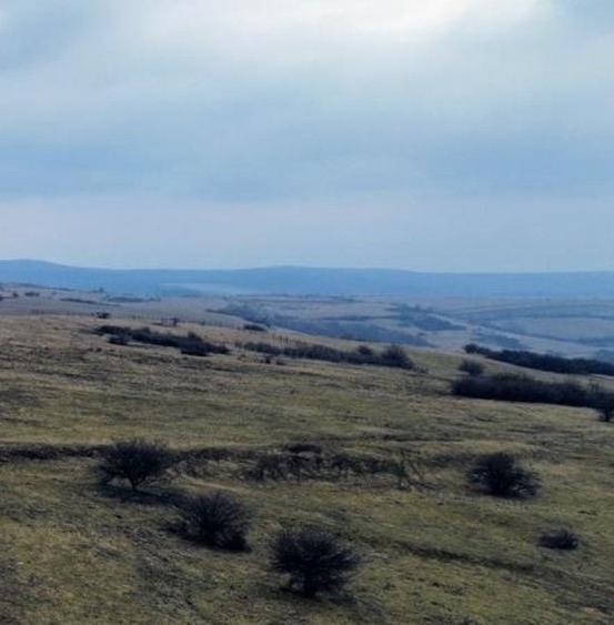 Teren agricol extravilan de 67500 mp, în Daia
