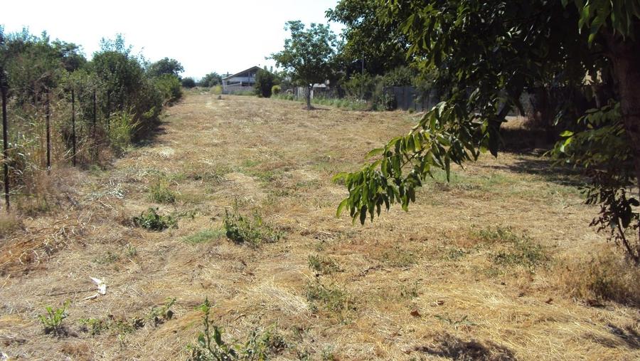 Teren Construcții intravilan de 3200 mp, în 1 Decembrie