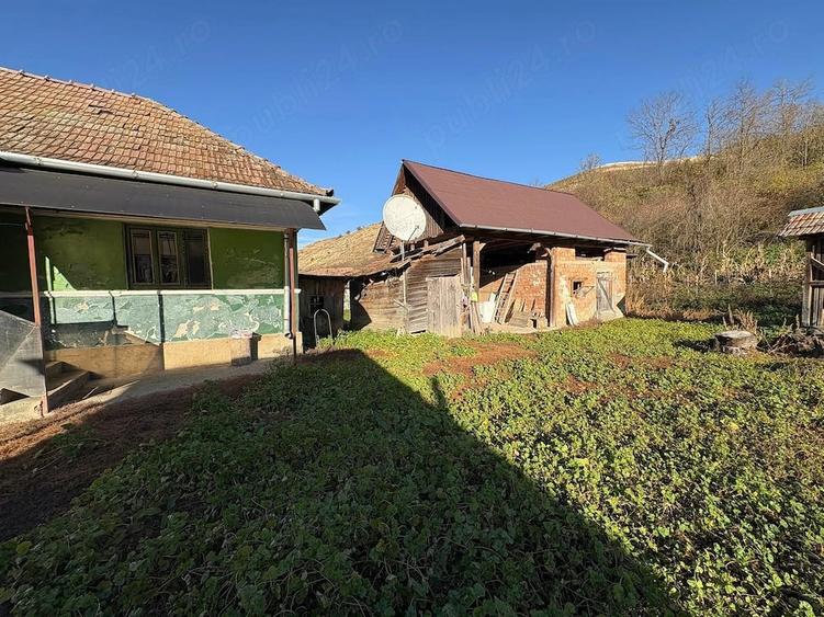 Teren cu cas de vanzare in Visea ideal pentru construc?ie ?i agricultura - 3