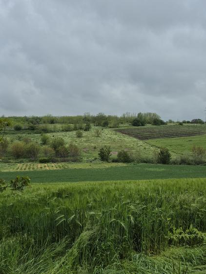 Teren de 770 mp, în Vlad Țepeș