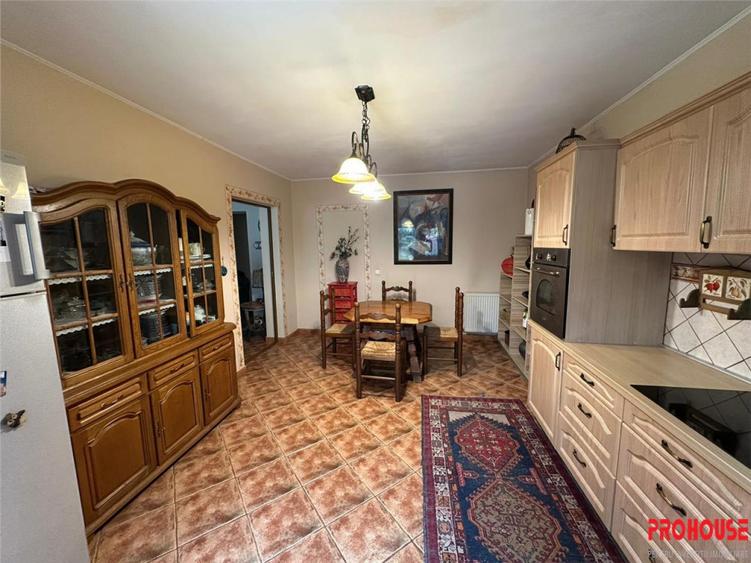 Casa deosebita in sat Podis - zona Dubas - 9