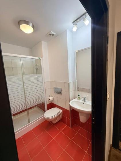 Apartament cu 3 camere, mobilat în Iancu Nicolae
